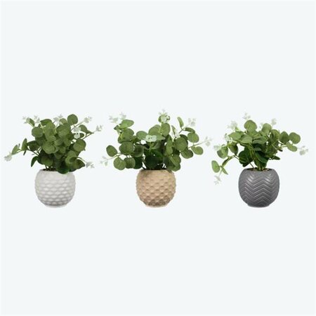 YOUNGS Ceramic Planter with Succulent, Assorted Color - 3 Piece 72340